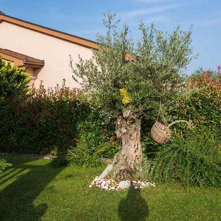 Aleksandra * Ljubuški